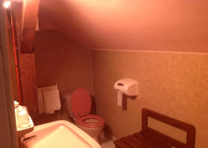 Relais Vosges Alsace מלון פלאפה